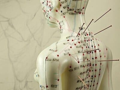 Become certified to practice acupuncture at Connecticut Acupuncture Certificate Program.