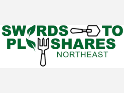 Gun Buyback in Hamden