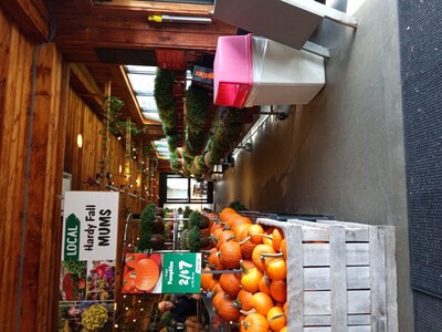 Stew Leonard's in Newington has pumpkins at a bargain price.