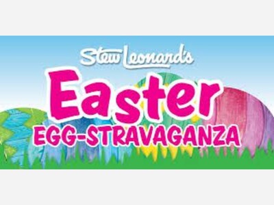 An Egg-Stravaganza 