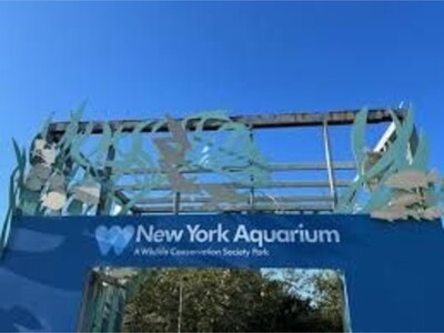 How to get New York Aquarium Guaranteed Admission.