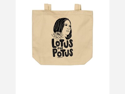 What Is Lotus for POTUS?