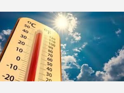 Stay Cool and Safe During the Upcoming Heatwave