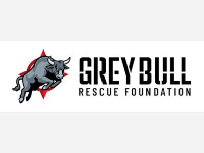 What is Grey Bull Rescue?