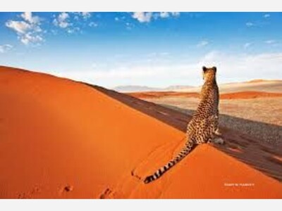 Namibia Welcomes Tourists