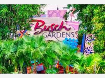 Visit Busch Gardens Tampa Bay