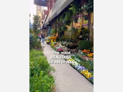 NYC's Flower District 