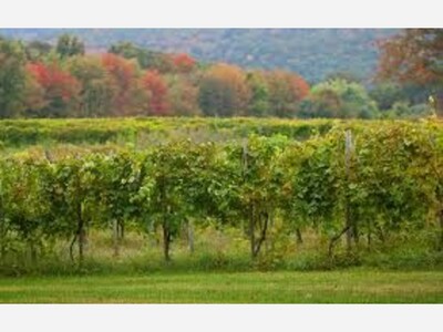 Priam Vineyards, One of New England's Leaders in Sustainable Winemaking