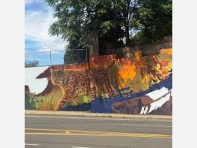 An ARCY mural contributes to the beautification of Hamden.