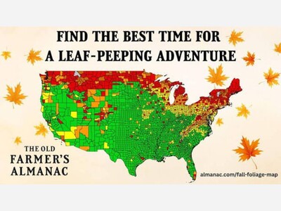 New England fall foliage forecast.