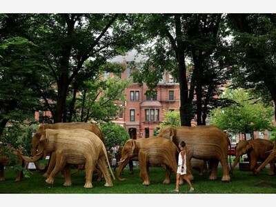 See 100 life-size elephant sculptures stretching down a tree-lined mall in Boston, Massachusetts.